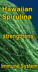 Ormus Minerals Hawaiian Spirulina strengthens Immune System